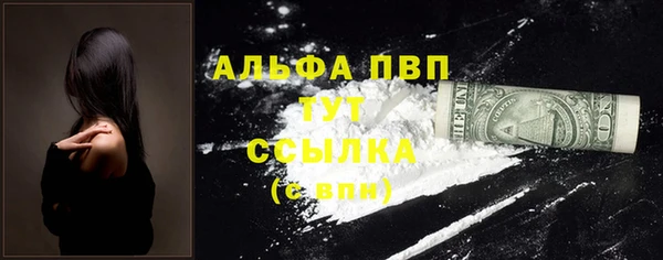 тгк Дмитриев