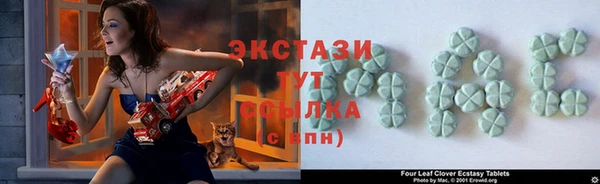 тгк Дмитриев