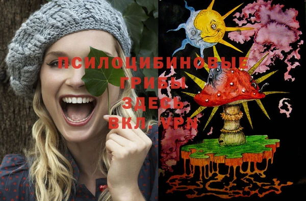 круглые Ельня