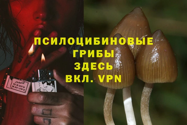 гидра Заводоуковск