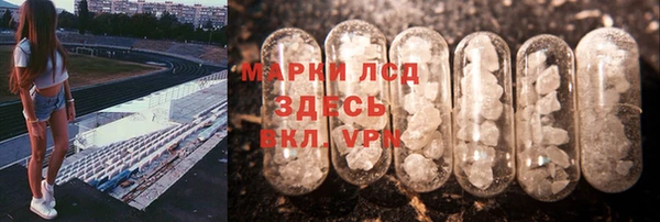 PSILOCYBIN Дмитров