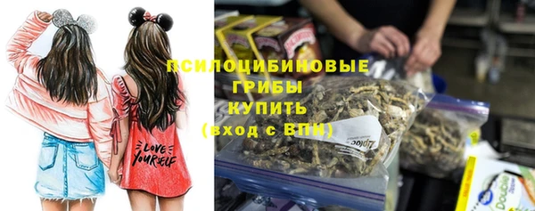 мяу мяу мука Елабуга