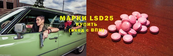 тгк Дмитриев
