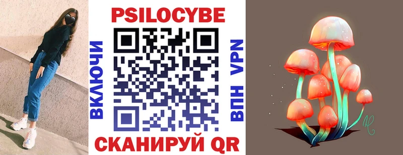 Псилоцибиновые грибы GOLDEN TEACHER Бологое